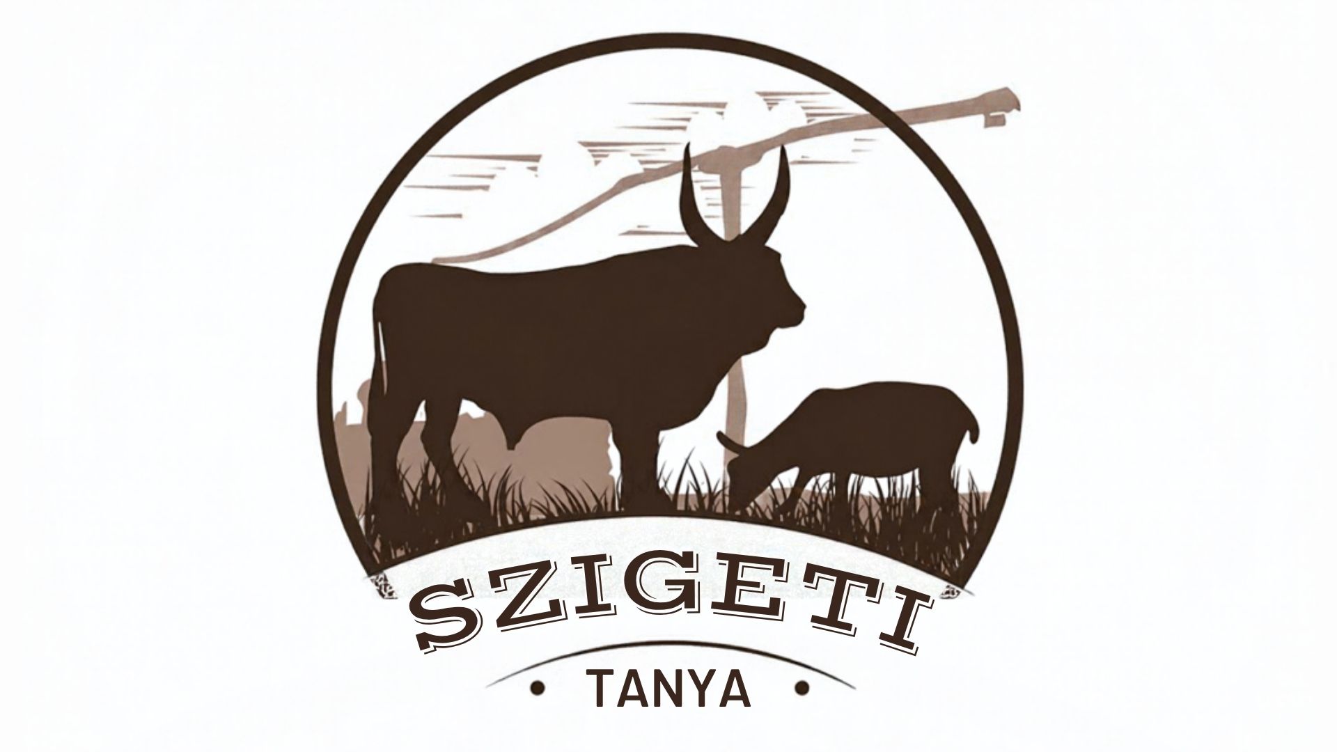 Szigeti Tanya